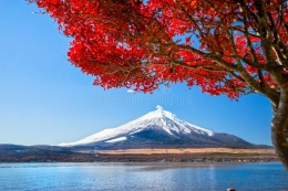 dreamtime.com | Suasana di Yamanaka Lake dengan Fujiyama di musim semi Sakura dan musim gugur. Indah .....
