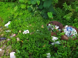Sampah berserakan di merapi view Pronojiwo, dokpri