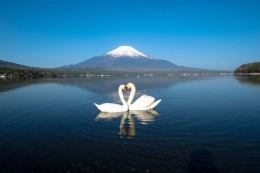  www.zekkeijpapan.com | Suasana romantic bagi sepasang angs di Yamanaka Lake .....