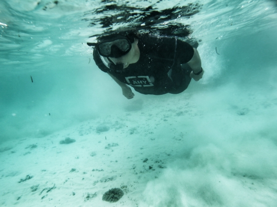 AHY melakukan Snorkeling di Papua