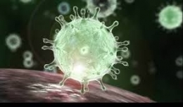 virus corona (sumber:kompastv)