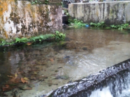Mata air Pemandian Karang Anyer dengan air yang jernih dan melimpah (dokpri)