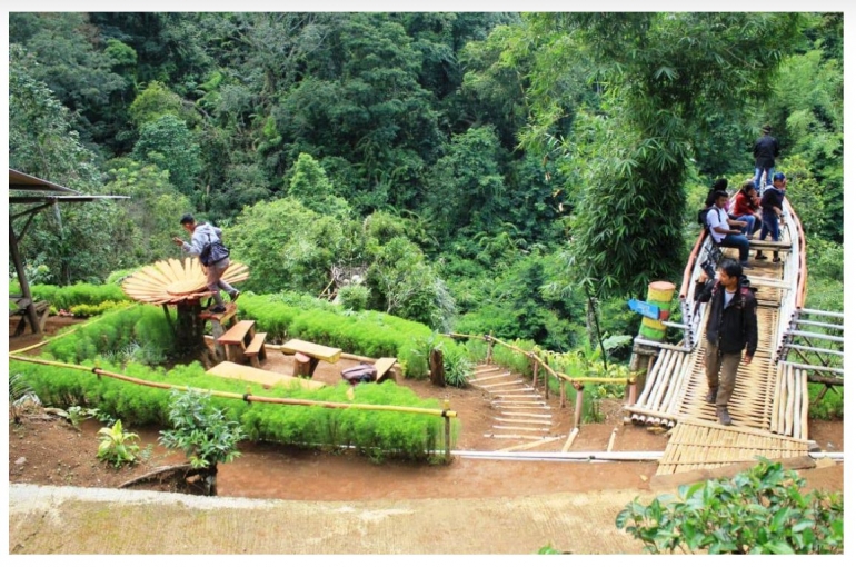Deskripsi : Spot Foto di Disbun Sukajadi, Sumedang I Sumber Foto : sumedangkab.go.id