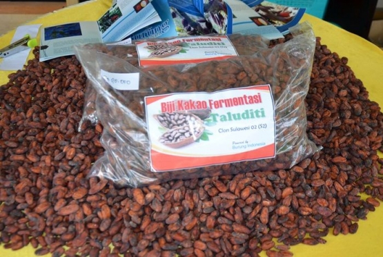 Kakao permentasi untuk menjangkau harga pasar yang lebih baik (Dokpri)