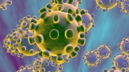 virus corona (sumber:https://edition.cnn.com/)