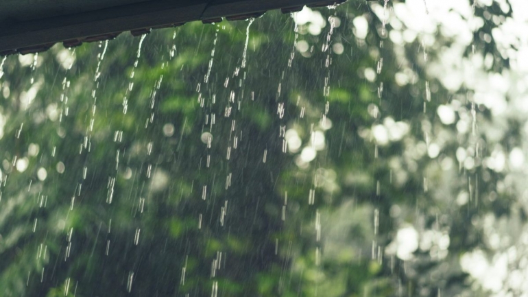 aliran air hujan di teritisan | milkwood.co.za