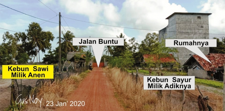 Dari jalan masuk ke kebun sawi Anen