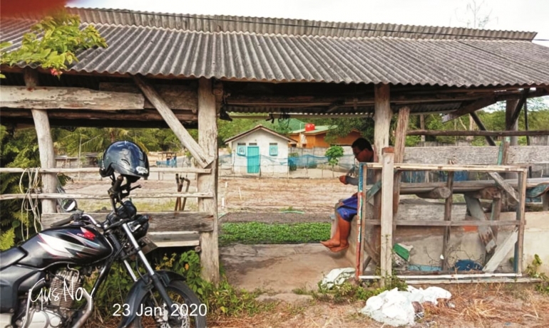 Gerbang ke kebun sawinya