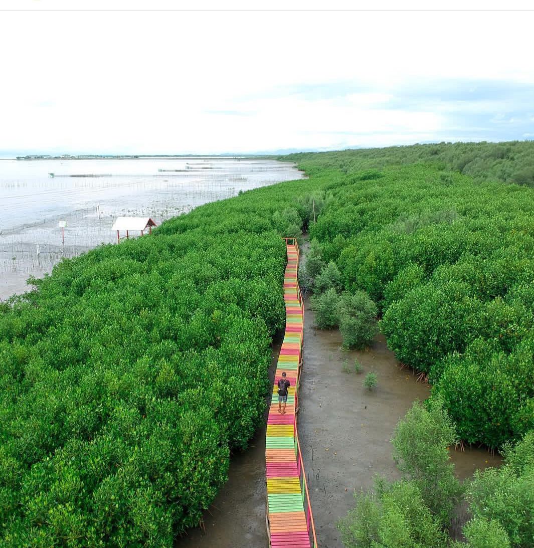 Foto Artikel : Ekowisata Mangrove Melalui Bottom Up Planning Dan ...