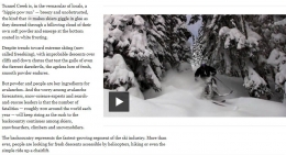 Video dalam artikel Snow Fall /dokpri