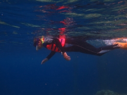 Berenang di laut memiliki sensasi berbeda dibanding di kolam renang (By PT Wakatobu Dave Trip)