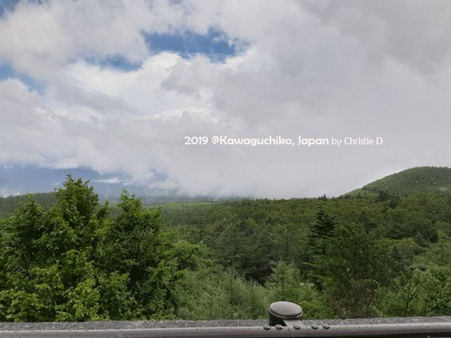 Di Kawaguchiko, mendaki ke kaki Gunung Fuju, melewati Hutan Aokigahara yang terkenal dengan "hutan bunuh diri" seluruh dunia. Dokumentasi pribadi