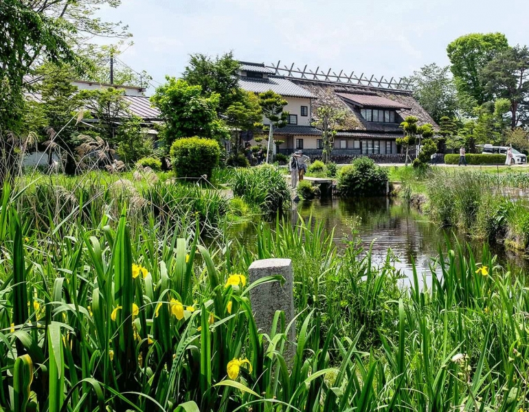 japaninfo.com | Jika musim semi, bunga-bunga Iris ini akan mekar, membuat kolam ini dikelilingi warna kuning.
