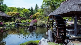 Kolam cantik, tetapi bukan termasuk dalam *8 kolam purba". Museum ini menawarkan konsep taman tematik yang membawa ke suasana hijau Jepang. www.thehiddentimble.com
