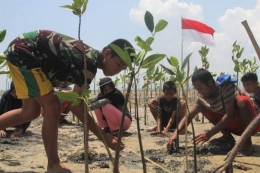 Kegiatan aksi tanam mangrove untuk sabuk pantai agar terhindar dari abrasi. (Foto. Antaranews.com)