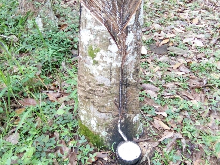 Pemerintah Serius Mengurangi Angka Kemiskinan Lakukan Hal Pemerintah Serius Mengurangi Angka Kemiskinan Lakukan Hal