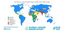 Sebaran Kematian per Jenis Kanker per Negara untuk semua umur pada pria, sumber, GCO WHO 2018