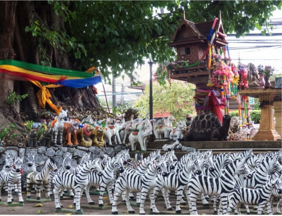 Barisan Zebra di depan Altar | Sumber: Thaizer