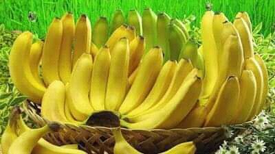 Gambar 1, Performa pisang cavendish yang menarik minat pasar ekspor (Doc. FMT)