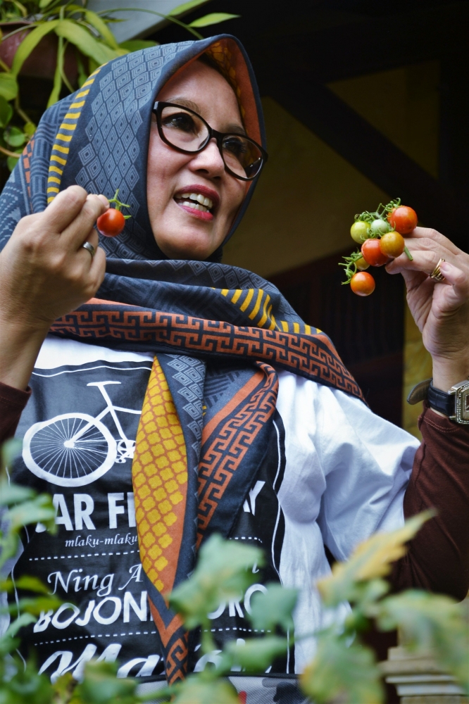 (Memetik buah tomat mungil di halaman rumah sendiri, merupakan kepuasan hati yang tak terukur../Photo by: Rendra Tris Surya)