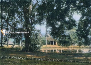 Bagian Belakang Landhuis
