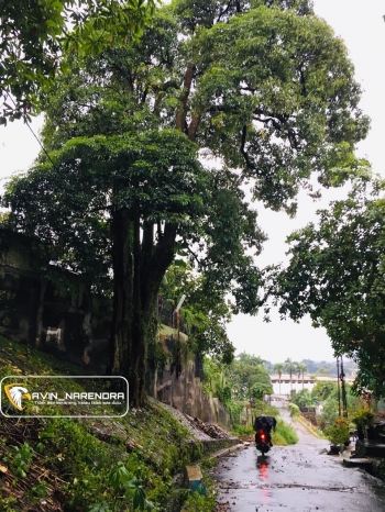 Sebelah kiri kompleks istana Citeureup