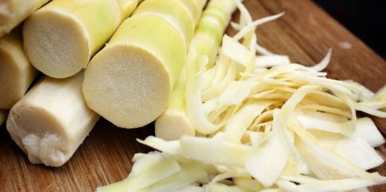 Rebung Bermanfaat bagi Kesehatan tapi Banyak yang Tak  Rebung Bermanfaat bagi Kesehatan tapi Banyak yang Tak