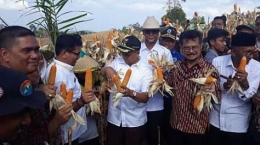 Gambar 1, Menteri Pertanian bersama Gubernur Aceh dan Kepala BNN melakukan panen perdana jagung di Bireuen (doc. FMT)
