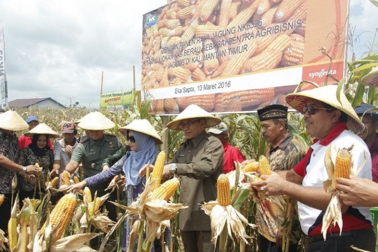 koleksi pribadi