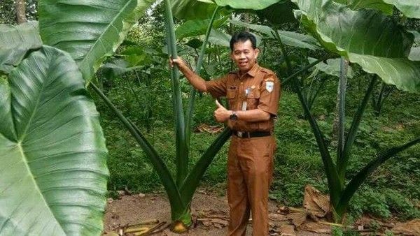 Dokumen Kementan