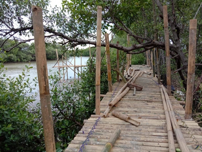 Rintisan pengembangan Wisata Mangrove Alas Jaran Desa Grinting