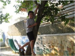 kesukaan anak saya dulu bermain panjat pohon (dokpri)
