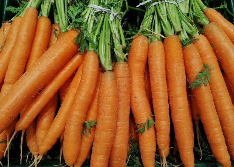 wortel (dok. pixabay)
