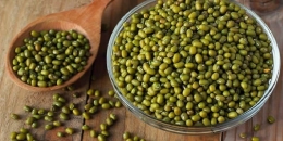 Dalam 100 gram  kacang hijau mengandung kalori 81 gram (sumber: deherba.com) 