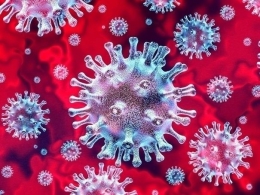Corona Virus/COVID-19 ((sumber gambar : patch.com)