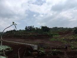 Keadaan tanah di Kertamaya, Bogor Selatan, Jawa Barat yang sedang dikeruk dan dibersihkan agar siap untuk dibangun perumahan, Minggu (23/02/20) | dokpri