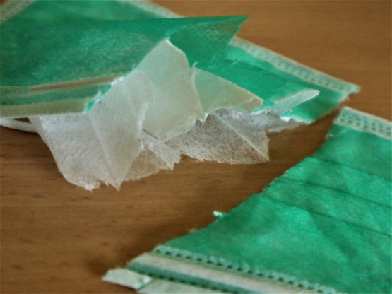 Foto Dok : Johanes Krisnomo