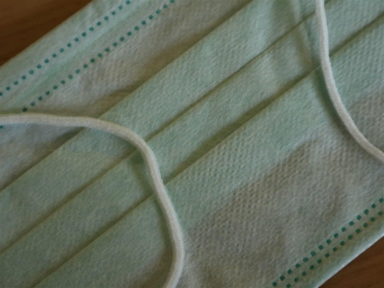 Foto Dok : Johanes Krisnomo