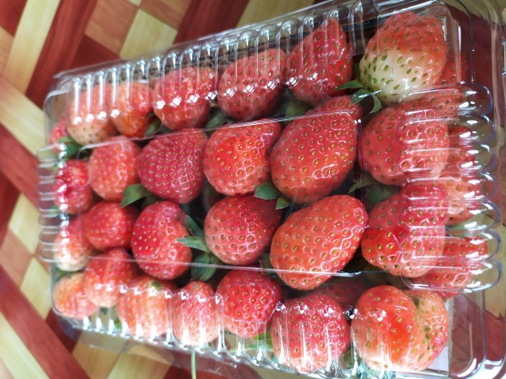 Strawberry di sana dijual seharga 50.000 Rupiah untuk 3 pax (Dokumentasi pribadi)