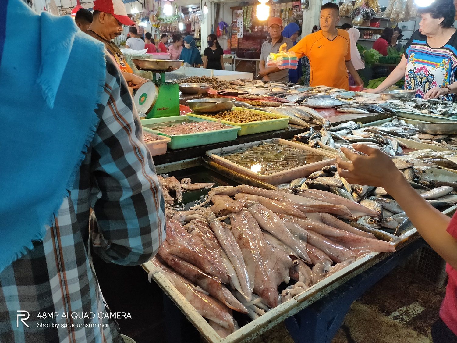 Aneka hewan laut. | Dokumentasi Pribadi