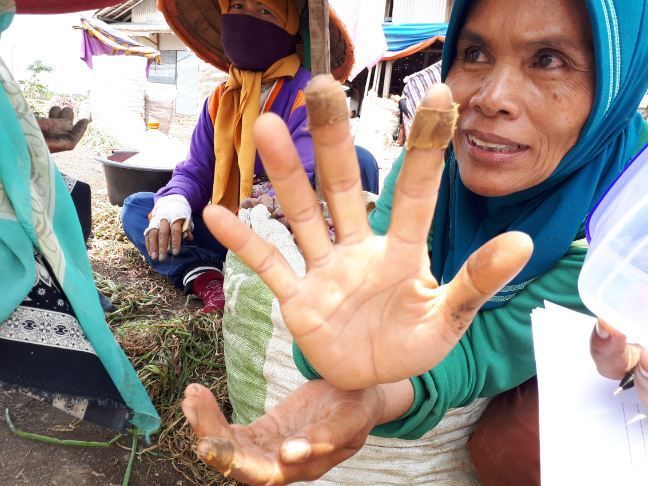 Buruh tani Brebes | Dokumentasi Mustafiq Fadhil