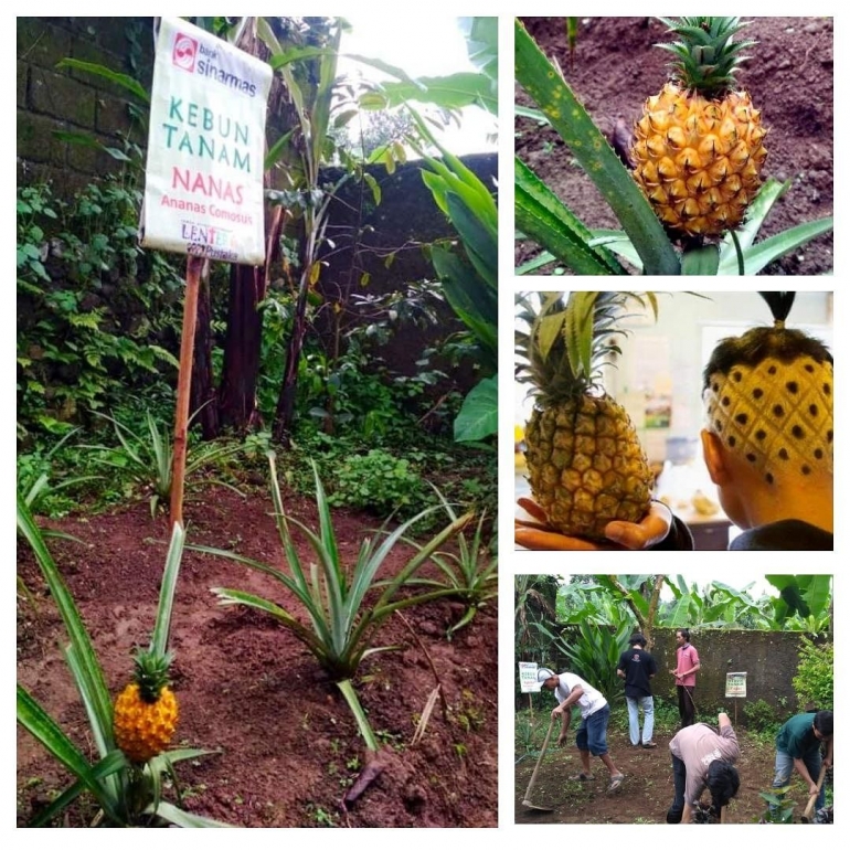 Kebun Baca Lentera Pustaka. Dokpri