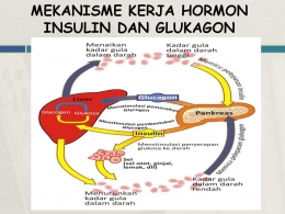 Mekanisme kerja hormon insulin dan glukagon (Sumber : slideplayer.info)
