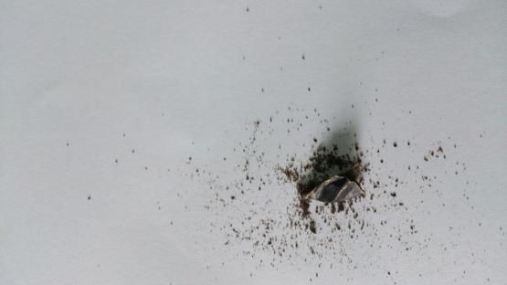 ket.foto: empedu ular yang sudah dikerokin sehingga jadi seperti bubuk/.dokpri