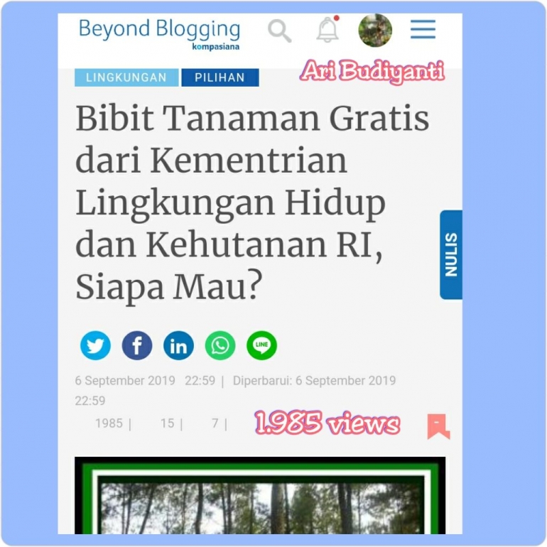 Artikel saya dengan views terbanyak. Dokumen pribadi