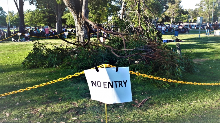 Pohon yang Mengandung Berkat dan Kutukan Kompasiana com Pohon yang Mengandung Berkat dan Kutukan Kompasiana com