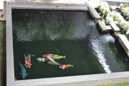 Foto kolam milik Mr. Yohanes Yusuf Jakarta