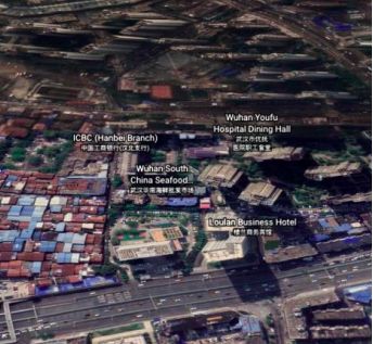 Gambar: Pasar Makanan Laut Huanan, Wuhan. (google earth)