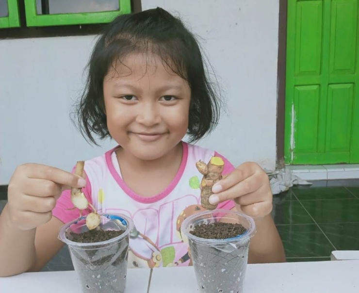 Sita, murid TK Taam Rista, mendapat tugas belajar dari rumah untuk menanam kunyit (Foto Setiyo)