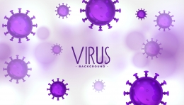 Source: https://www.freepik.com/free-vector/corona-virus-infographics_6706042.htm